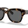 RayBan State street 1292B1 Havana on transparent Brown