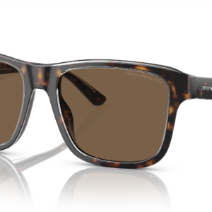 EMPORIO ARMANI EA4208 605273